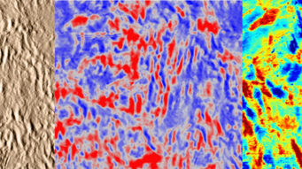 © P. Jovičević-Klug