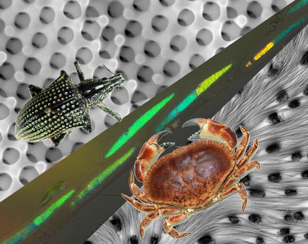 Soft Matter andbiological Materials