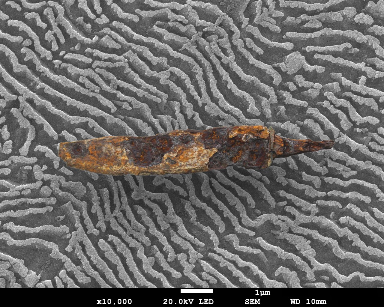 The SEM examination reveals the pearlitic steel microstructure of a medieval blade from Anatolia.