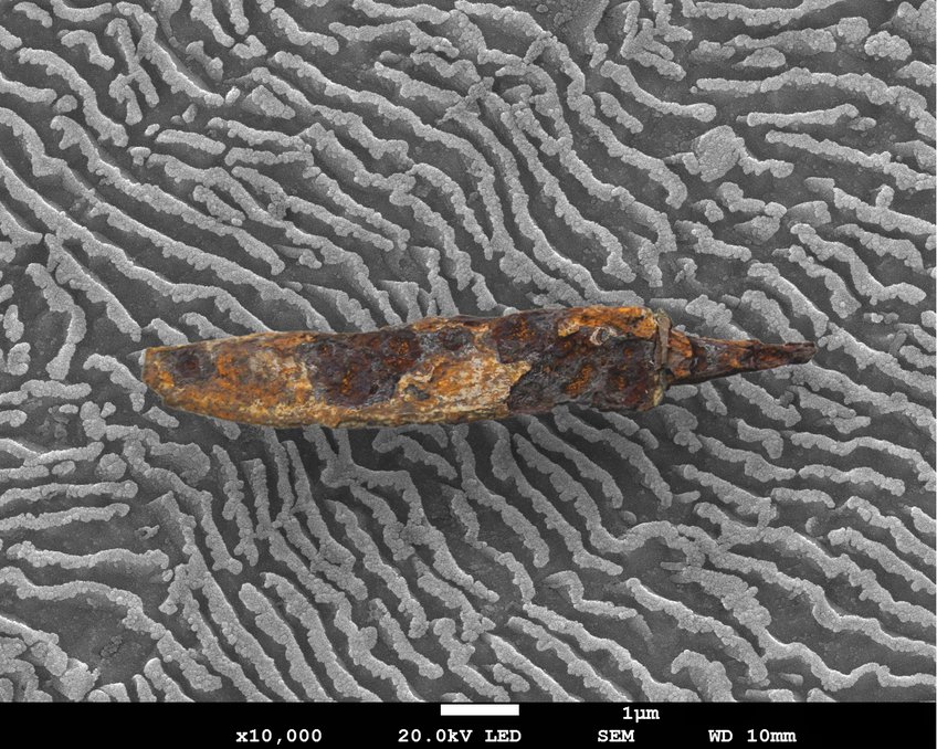 Das SEM-Bild zeigt die perlitische Mikrostruktur einer mittelalterlichen Stahl-Klinge aus Anatolien. Das SEM-Bild zeigt die perlitische Mikrostruktur einer mittelalterlichen Stahl-Klinge aus Anatolien.