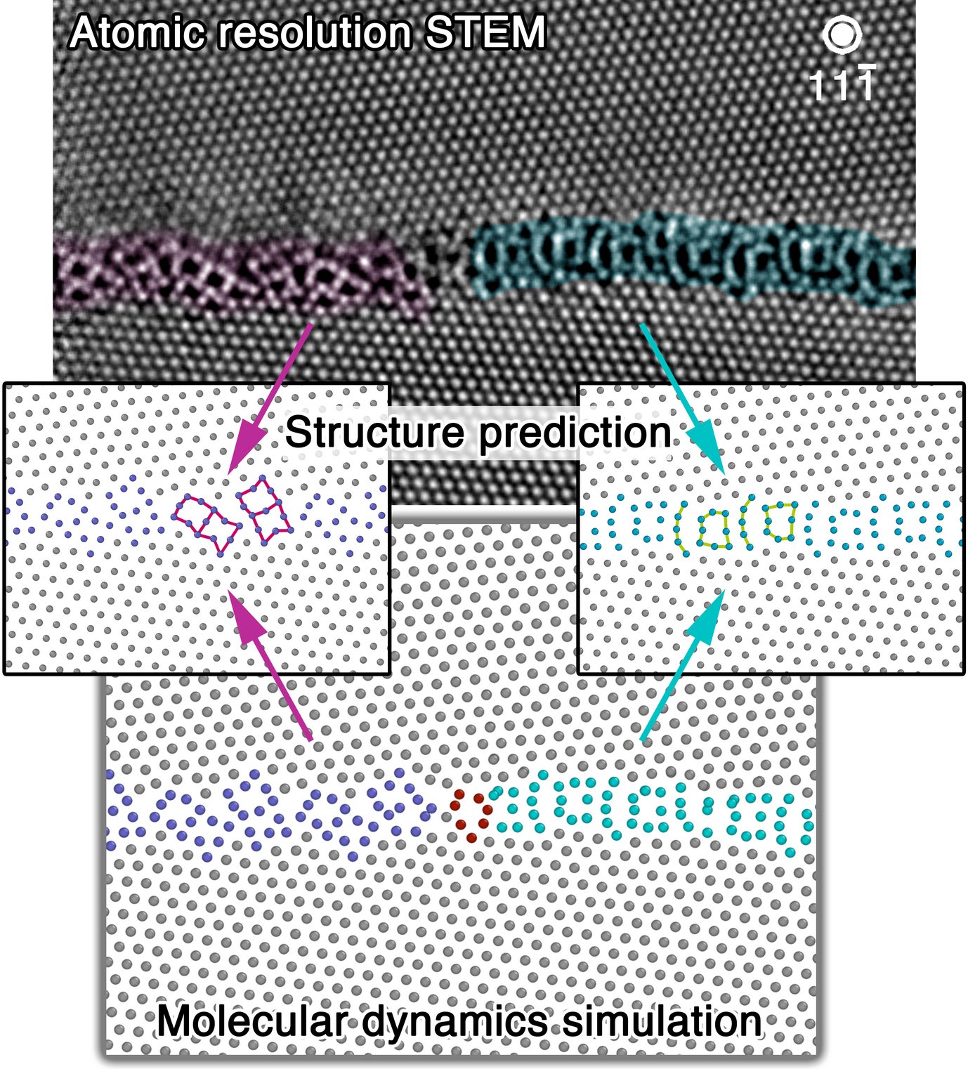 Figure 1: Atomic resolution scanning transmission electron microscopy (STEM) image of a grain boundary phase transformation in elemental copper. The corresponding grain boundary phases are predicted by grain boundary structure search. The dynamics of the grain boundary phase transformation as observed in experiment is modelled by molecular dynamics simulations.