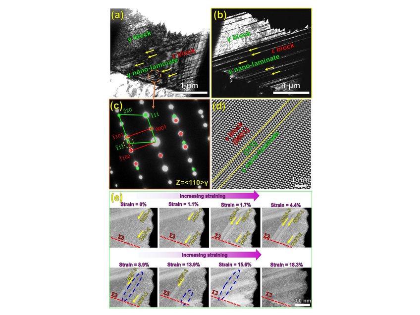 Figure 1. (a) TEM/STEM analysis of the dual-phase Fe50Mn30Co10Cr10 (at.%) HEA after water-quenching. (a) The bright-field TEM and (b) the dark-field TEM images of two blocks (FCC γ and HCP ε ) containing nanoscale laminate features indicated by arrows. (c) Experimental selected area diffraction pattern (SADP) combined with the simulated diffraction patterns along the <110> γ zone axis. The simulated diffraction patterns for γ and ε are shown in green and red, respectively. (d) High-resolution HAADF-STEM image of a γ nanolaminate within the HCP ε block. (e) In situ straining of the dual-phase HEA showing bidirectional transformation. Figure 1. (a) TEM/STEM analysis of the dual-phase Fe50Mn30Co10Cr10 (at.%) HEA after water-quenching. (a) The bright-field TEM and (b) the dark-field TEM images of two blocks (FCC γ and HCP ε ) containing nanoscale laminate features indicated by arrows. (c) Experimental selected area diffraction pattern (SADP) combined with the simulated diffraction patterns along the <110> γ zone axis. The simulated diffraction patterns for γ and ε are shown in green and red, respectively. (d) High-resolution HAADF-STEM image of a γ nanolaminate within the HCP ε block. (e) In situ straining of the dual-phase HEA showing bidirectional transformation.