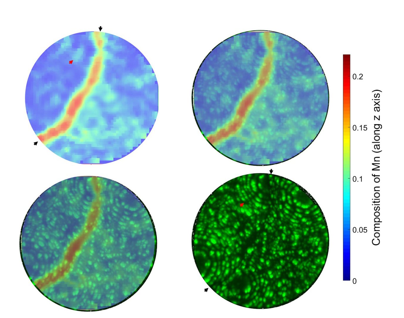 Figure:  Correlative FIM and APT analysis revealing the enrichment of Mn to defects such as a grain boundary (black arrows) and a dislocation (red arrow). The four images with varying transparency of concentration map are shown to emphasize the location of defects and enhanced Mn concentration.