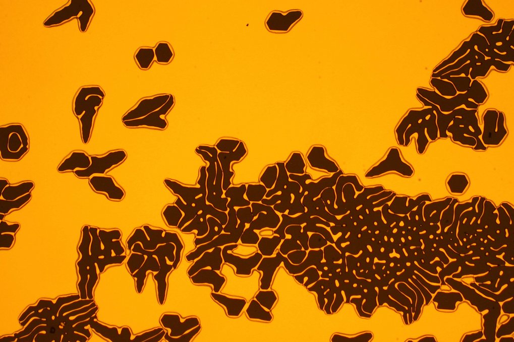 300 nm thick copper film (orange) partly dewetted from sapphire (black) after 6 h of annealing at 980°C (optical microscope; the middle right-hexagonal hole is 20 microns wide). 300 nm thick copper film (orange) partly dewetted from sapphire (black) after 6 h of annealing at 980°C (optical microscope; the middle right-hexagonal hole is 20 microns wide).