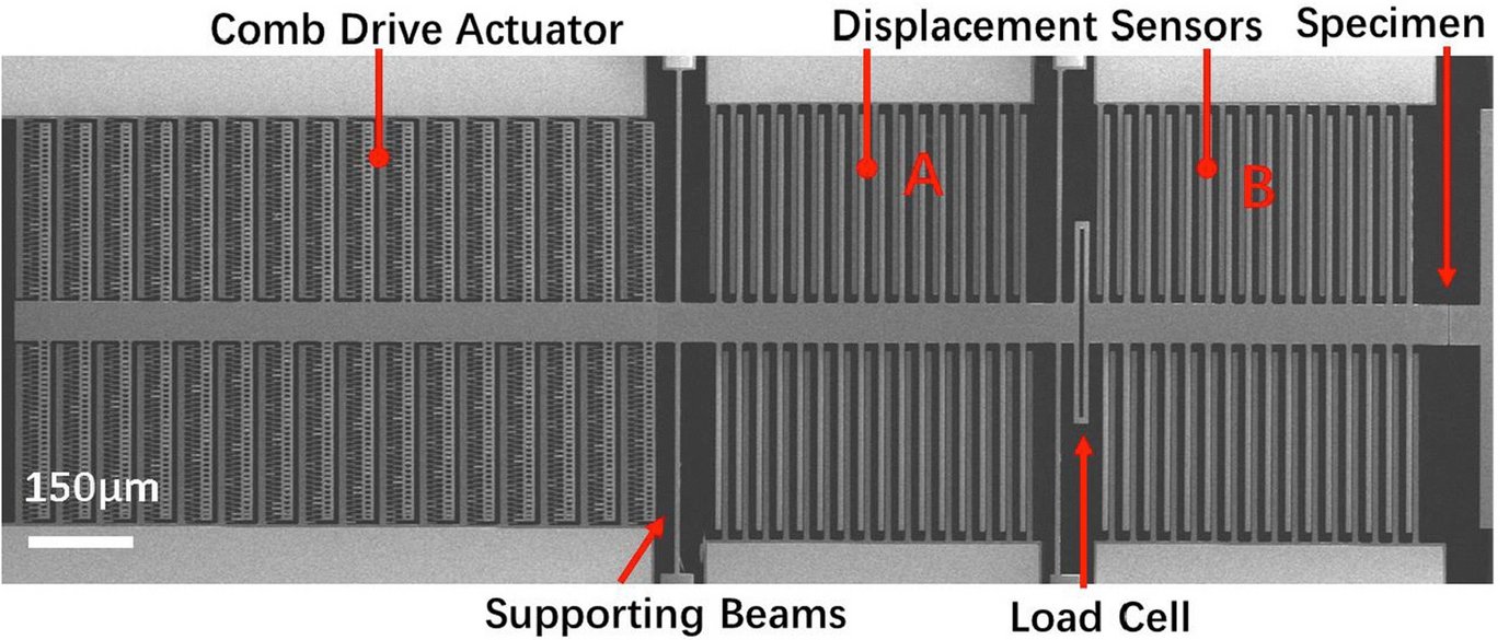 The researchers will combine Zhu’s lab-on-a-chip device for nanomechanical testing with the MPIE’s atomic resolution electron microscopes to gain insights into atomic scale deformation mechanisms.