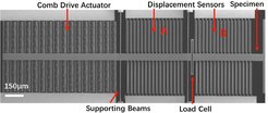 The researchers will combine Zhu’s lab-on-a-chip device for nanomechanical testing with the MPIE’s atomic resolution electron microscopes to gain insights into atomic scale deformation mechanisms.