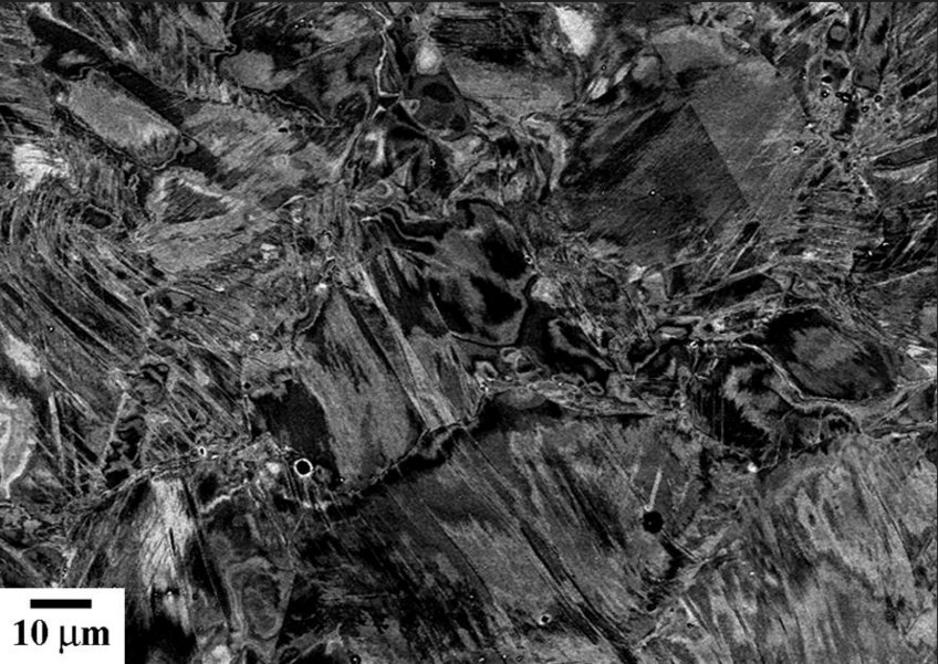 TEM: Large view field ECCI image of deformed sample to 0.3 truestrain/1150 MPa showing a multiple twin structure with dislocationsubstructures. TEM: Large view field ECCI image of deformed sample to 0.3 truestrain/1150 MPa showing a multiple twin structure with dislocationsubstructures.