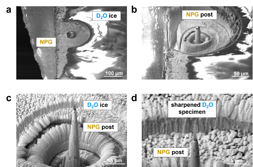 Scanning electron images of in situ APT specimen preparation of an ice sample on nanoporous gold.