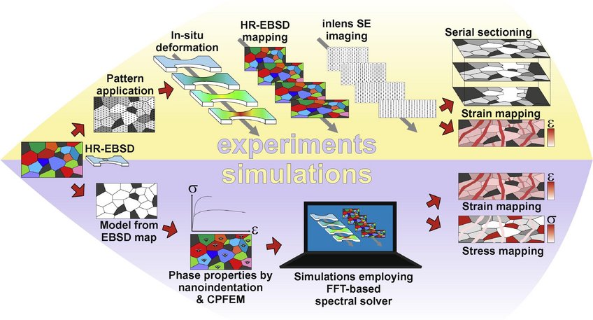 The integrated approach involves experiments and simulations both proceeding from the same EBSD-mapped microstructure data sets, providing the deformation-induced local strain and stress distribution maps as well as the associated microstructural changes. Note that the schematic descriptions of the obtained strain maps here represent the ideal case, whereas differences unavoidably exist between experimentally and numerically obtained maps. The integrated approach involves experiments and simulations both proceeding from the same EBSD-mapped microstructure data sets, providing the deformation-induced local strain and stress distribution maps as well as the associated microstructural changes. Note that the schematic descriptions of the obtained strain maps here represent the ideal case, whereas differences unavoidably exist between experimentally and numerically obtained maps.