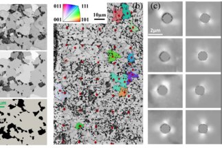 Integrated experimental–simulation analysis of stress and strain partitioning in multiphase alloys