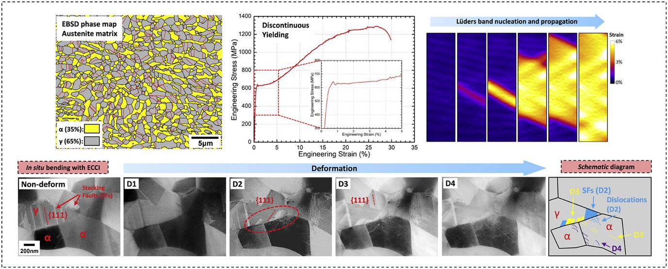 macroscopic to nanoscopicin situ investigation