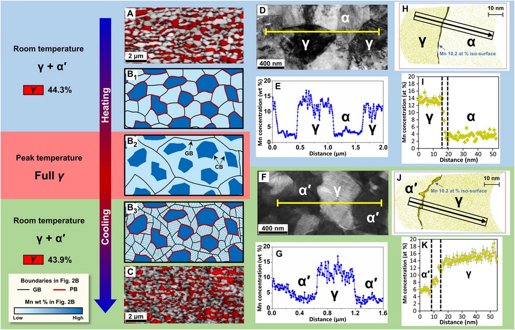 Microstructural evolution of the steel processed via the CBE strategy confirming the strong effect of CBs on martensitic transformation.
(A) EBSD image quality map with superposed phase color map of the face-centered cubic (FCC) phase (red region) of the ART-processed steel, showing the equiaxed microstructure of austenite (γ) with ferrite (α), and (C) the ultrafine dual phase microstructure of γ and martensite (α′) of the CBE-processed steel. (B) Sketch of the microstructural evolution of the steels during ultrafast heating and quenching via the CBE strategy to illustrate the role of GBs, PBs, and CBs. (D and E) TEM images with EDS analysis showing the microstructure and Mn concentration profile between γ and α of the ART-processed steel, while (F and G) is that between γ and α′ of the CBE-processed steel. Near-atomic level Mn distribution is revealed by 3D-APT, (H and I) between γ and α, and (J and K) between γ and α′. Microstructural evolution of the steel processed via the CBE strategy confirming the strong effect of CBs on martensitic transformation.
(A) EBSD image quality map with superposed phase color map of the face-centered cubic (FCC) phase (red region) of the ART-processed steel, showing the equiaxed microstructure of austenite (γ) with ferrite (α), and (C) the ultrafine dual phase microstructure of γ and martensite (α′) of the CBE-processed steel. (B) Sketch of the microstructural evolution of the steels during ultrafast heating and quenching via the CBE strategy to illustrate the role of GBs, PBs, and CBs. (D and E) TEM images with EDS analysis showing the microstructure and Mn concentration profile between γ and α of the ART-processed steel, while (F and G) is that between γ and α′ of the CBE-processed steel. Near-atomic level Mn distribution is revealed by 3D-APT, (H and I) between γ and α, and (J and K) between γ and α′.