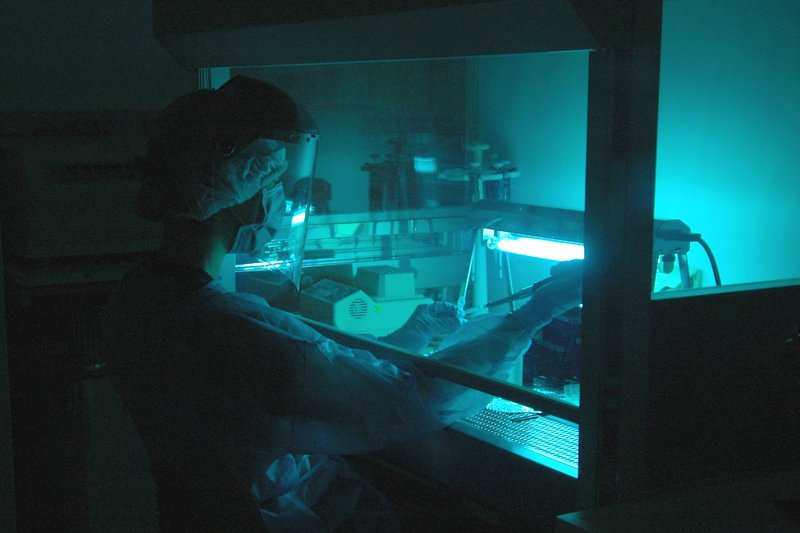 Neandertaler-Genvariante erhöht Risiko für schweren Verlauf von Covid-19