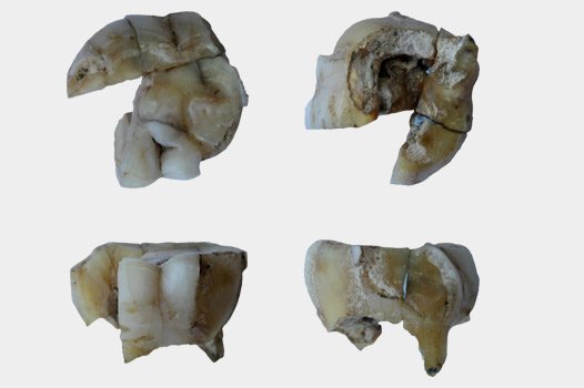 Älteste genetische Verbindung zwischen Asien und Amerika
