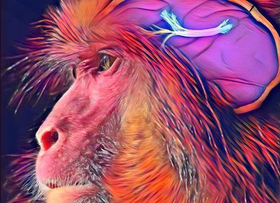 Die Wurzeln der Sprache