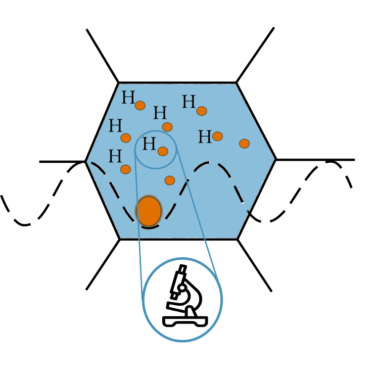 Characterization of charged and tested material (WP5)