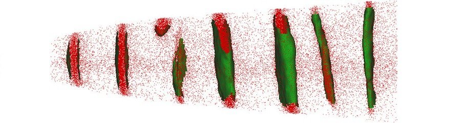 Atom Probe Tomography