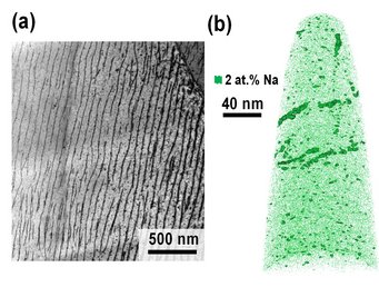 Fig. 1: a) Transmission electron microscopy image showing a high density of parallel dislocations. b) Atom probe tomography data revealing that the dislocations are Na rich. Fig. 1: a) Transmission electron microscopy image showing a high density of parallel dislocations. b) Atom probe tomography data revealing that the dislocations are Na rich.