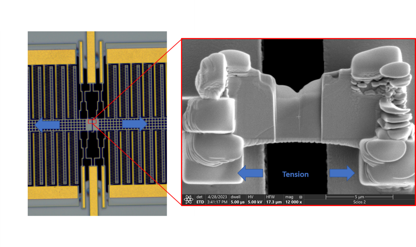 © Max-Planck-Institut für Nachhaltige Materialien GmbH