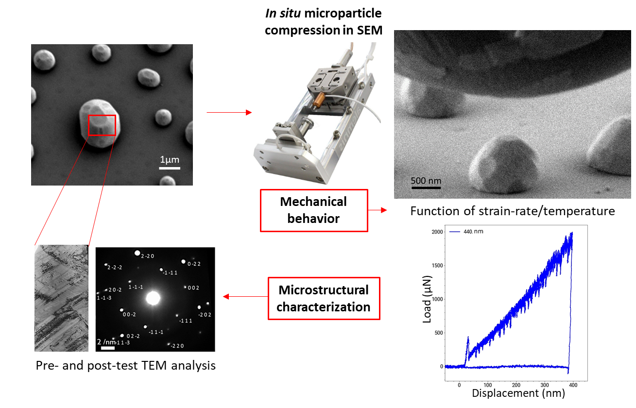 Experimental process flow for the mechanical characterization of micro-particles.