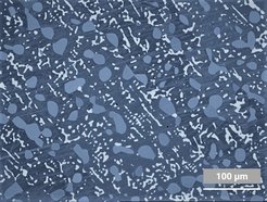 Microstructure of Ti-Al-Zr heat-treated at 1200 °C.