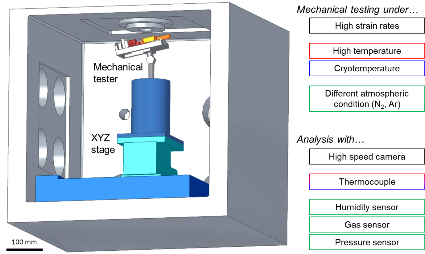 Micromechanical testing under simultaneous mechanical and environmental stimuli