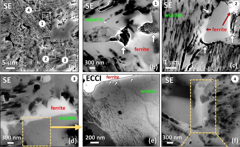 Green Steel: The role of microstructure in Direct Reduction of Ores with Hydrogen