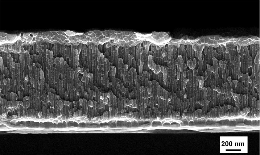SEM cross-section image of an amorphous Zr52Cu48 thin film metallic glass showing a columnar nanostructured morphology SEM cross-section image of an amorphous Zr52Cu48 thin film metallic glass showing a columnar nanostructured morphology