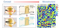 The exploration of chemical heterogeneity inside the microstructure leads to an enhanced resistance to hydrogen induced cracking, thus suppressing hydrogen induced premature failure (left image). The microstructure was realized in a high-strength manganese-containing steel where a high-number density of microscopically confined manganese-rich zones were produced, serving to blunt and arrest hydrogen-induced microcracks (some of the manganese-rich buffer zones are marked by elliptical frames in the right image).