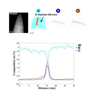Abb. 2: Korrelative Messung mittels Atomsondentomographie und Transmissionselektronenmikroskopie zeigt eine Anreicherung von Bor (B) und Kohlenstoff (C), aber eine Verarmung von Aluminium (Al) an der Korngrenze. Diese Ergebnisse stehen im Widerspruch zu vorherigen theoretischen Studien, welche eine Anreicherung von Al vorhersagten. Abb. 2: Korrelative Messung mittels Atomsondentomographie und Transmissionselektronenmikroskopie zeigt eine Anreicherung von Bor (B) und Kohlenstoff (C), aber eine Verarmung von Aluminium (Al) an der Korngrenze. Diese Ergebnisse stehen im Widerspruch zu vorherigen theoretischen Studien, welche eine Anreicherung von Al vorhersagten.