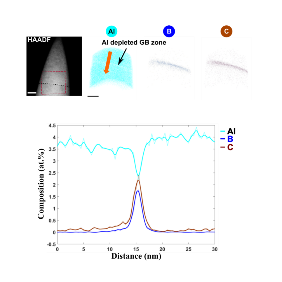 Fig. 2: Correlative atom probe tomography – transmission electron microscopy experiments reveal the enrichment of boron (B) and carbon (C), but a depletion of aluminium (Al). These results are contradictory to previous theoretical studies. 