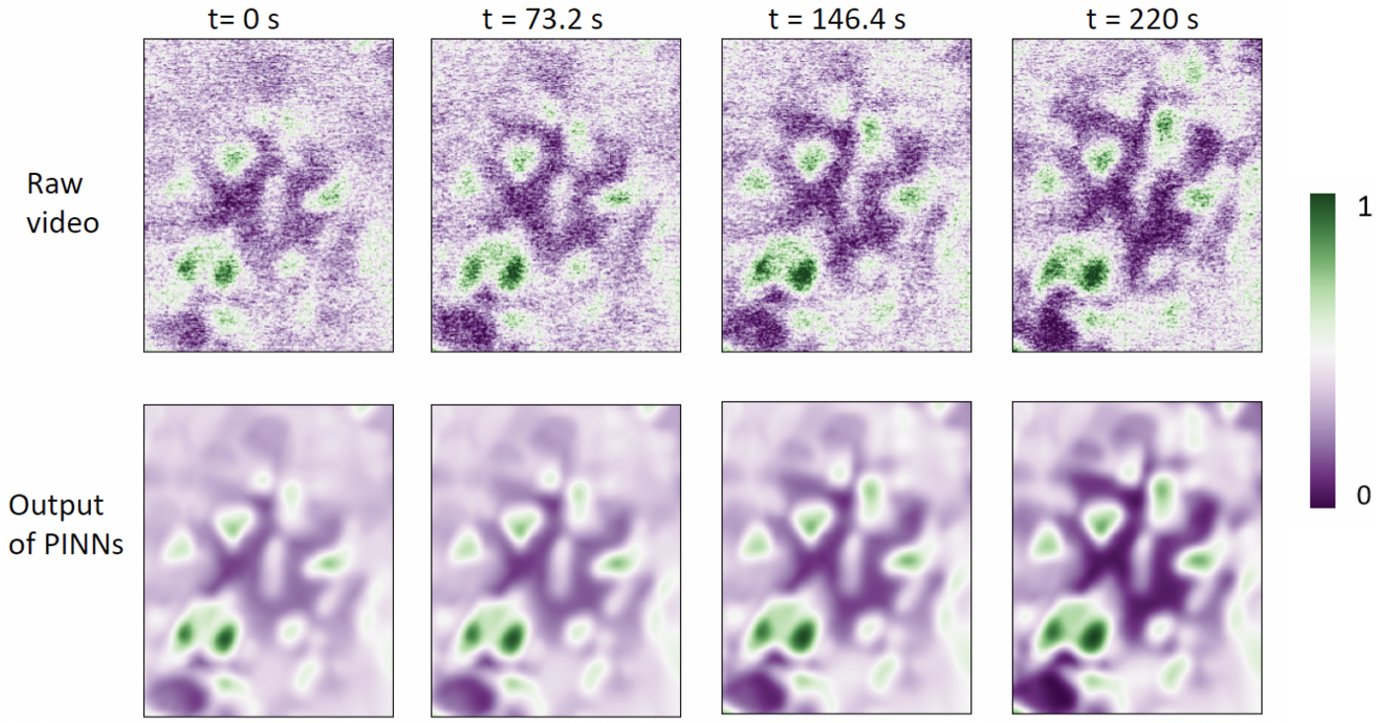 Qualitative reproduction of HAADF STEM video sequences of high entropy alloy decomposition using PINN. Further improvements in PINN are on-going for quantitative agreement. 