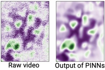 Learning Dynamics of STEM Data