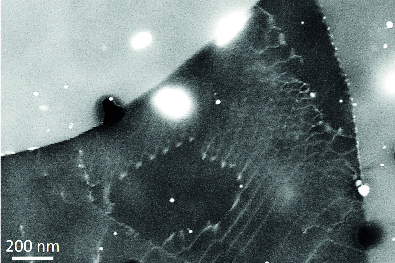 Fig. 1: ECCI of a small angle grain boundary in a 7075 Al alloy, imaged at 20 kV. The large angle grain boundary at the right is decorated with newly precipitated particles. of a Zn-rich phase.