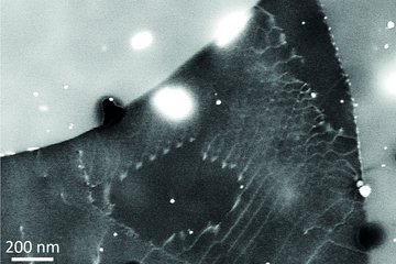 Challenges of ECCI on light metals