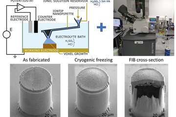 Additively micromanufactured fluid-filled metal microvessels: APT sample carriers