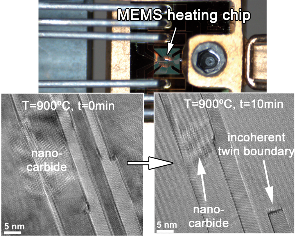 Advanced electron microscopy techniques
