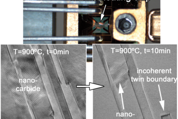 Advanced electron microscopy techniques