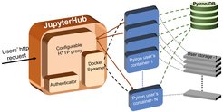Fig. 1: The structure of the docker network deployed in the cmserver02. Jupyter docker container authenticates users, and spawns Jupyter containers with preconfigured conda environment.