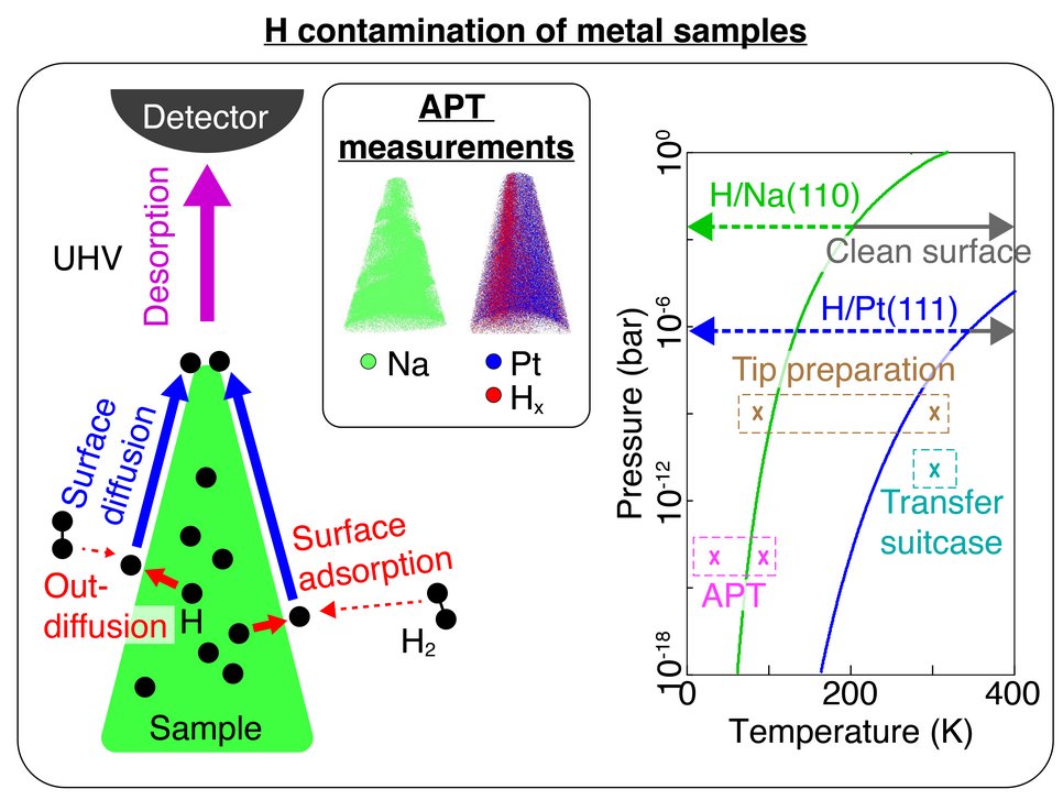 Figure: Schematic representation illustrating mechanisms of H contamination of transition metal samples with atom probe tomography (APT) validations and theoretical analysis. Adapted from Ref. [1].