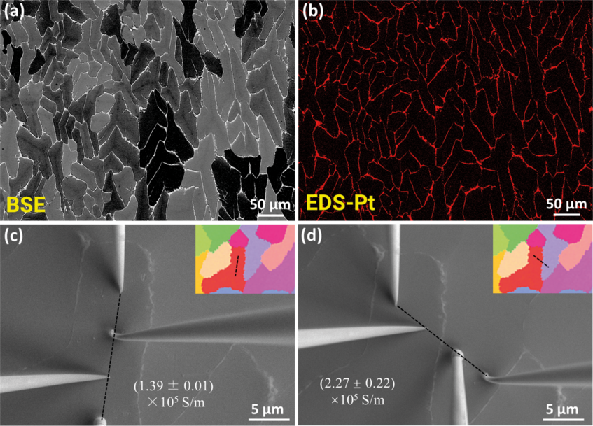Fig. 2: (a) Backscattered electron (BSE) image of the NbCo(Pt)Sn sample before ball milling. (b) The corresponding energy-dispersive X-ray spectroscopy (EDX) map of Pt. The white colour in the BSE image is due to the enrichment of Pt at grain boundaries. The position layout of the four needles used for the local measurement (c) within the grain interior, and (d) crossing a high angle grain boundary, which was assessed by electron-backscattered diffraction (inset). Fig. 2: (a) Backscattered electron (BSE) image of the NbCo(Pt)Sn sample before ball milling. (b) The corresponding energy-dispersive X-ray spectroscopy (EDX) map of Pt. The white colour in the BSE image is due to the enrichment of Pt at grain boundaries. The position layout of the four needles used for the local measurement (c) within the grain interior, and (d) crossing a high angle grain boundary, which was assessed by electron-backscattered diffraction (inset).