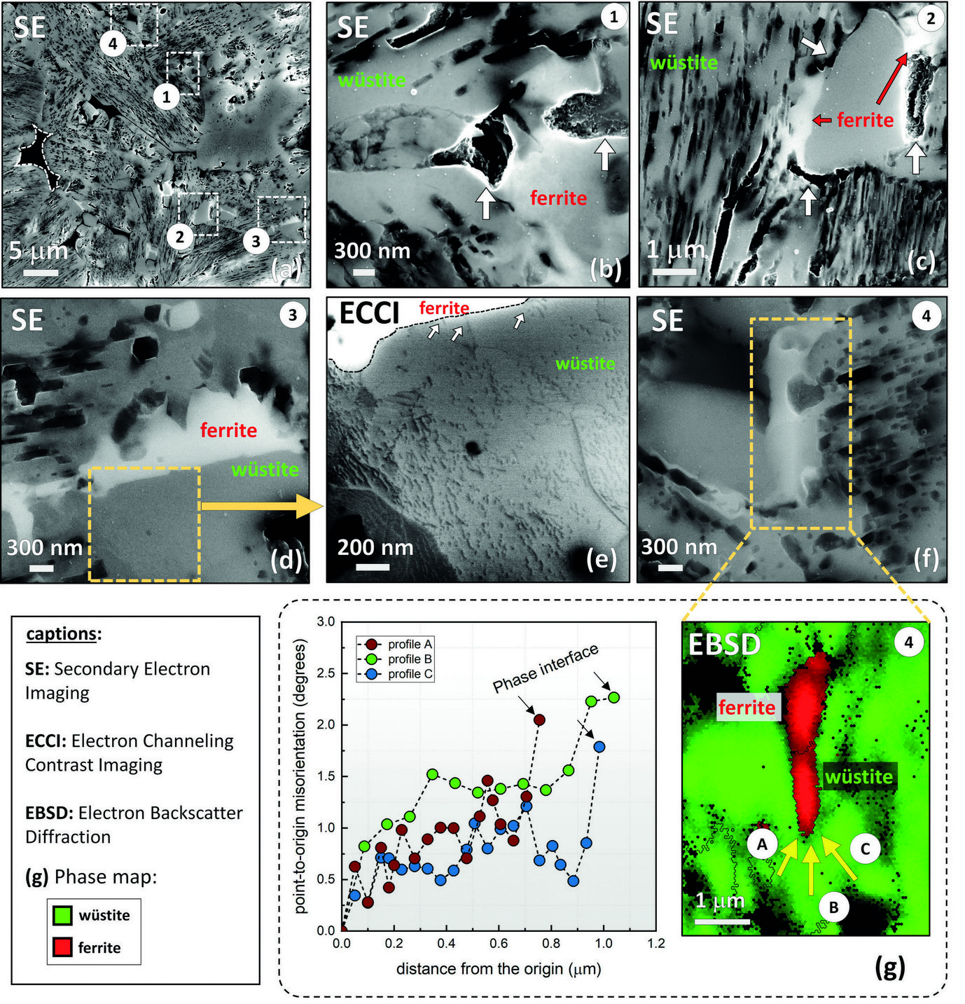 Fig. 1: Correlative SE and ECCI analysis of a partially reduced pellet (10 min, 700 °C). (a) SE image of the map of the pellet microstructure. The white frames marked as 1, 2, and 3 highlight specific regions whose enlarged views are given in (b), (c), and (d), respectively. (e) ECCI image obtained from the area delimited by the yellow frame in (d). (f) SE image from the area labelled as 4 in (a). The arrows A, B, and C were used as a reference to obtain local orientation gradients. (g) EBSD phase map from the marked area. Point-to-origin local misorientation profiles along arrows A, B, and C in (f).