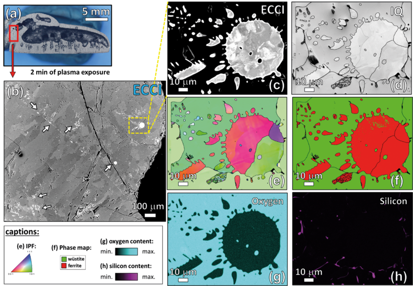 Fig. 2: Microstructural characterization of a sample partially reduced for 2 min by hydrogen plasma. (a) Overview of the sample. The red frame shows the chosen area for the correlative EBSD-ECCI probing approach. (b) ECCI-image of the area delimited by the red frame in (a). The white arrows evidence the presence of small domains of iron. (c) ECCI-image showing an enlarged view of the region delimitated by the yellow frame in (a). The corresponding EBSD maps of the area displayed in (c) are as follows: (d) image quality (IQ) map; (e) inverse pole figure (IPF) map in which the crystallographic orientations are shown perpendicular to the normal direction of the sample, i.e. parallel to the solidification direction; (f) phase map where wüstite and ferrite are represented by green and red respectively; (g) oxygen distribution and (h) silicon distribution maps. Fig. 2: Microstructural characterization of a sample partially reduced for 2 min by hydrogen plasma. (a) Overview of the sample. The red frame shows the chosen area for the correlative EBSD-ECCI probing approach. (b) ECCI-image of the area delimited by the red frame in (a). The white arrows evidence the presence of small domains of iron. (c) ECCI-image showing an enlarged view of the region delimitated by the yellow frame in (a). The corresponding EBSD maps of the area displayed in (c) are as follows: (d) image quality (IQ) map; (e) inverse pole figure (IPF) map in which the crystallographic orientations are shown perpendicular to the normal direction of the sample, i.e. parallel to the solidification direction; (f) phase map where wüstite and ferrite are represented by green and red respectively; (g) oxygen distribution and (h) silicon distribution maps.