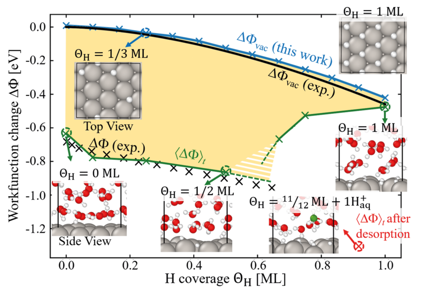 Fig. 1: Work function (blue) and time-averaged electrode potential (green) as function of H coverage on Pt(111). For comparison, the experimentally measured work function (black line) and electrode potential (black crosses) are included. The critical H concentration is predicted to lie within the yellow hashed area, as as indicated by the extrapolated dashed green lines. Representative surface and interface structures at selected coverages are shown as insets. Fig. 1: Work function (blue) and time-averaged electrode potential (green) as function of H coverage on Pt(111). For comparison, the experimentally measured work function (black line) and electrode potential (black crosses) are included. The critical H concentration is predicted to lie within the yellow hashed area, as as indicated by the extrapolated dashed green lines. Representative surface and interface structures at selected coverages are shown as insets.
