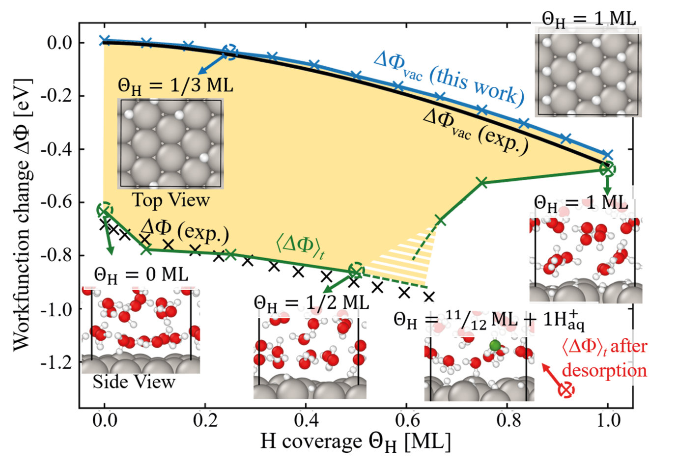 Fig. 1: Work function (blue) and time-averaged electrode potential (green) as function of H coverage on Pt(111). For comparison, the experimentally measured work function (black line) and electrode potential (black crosses) are included. The critical H concentration is predicted to lie within the yellow hashed area, as as indicated by the extrapolated dashed green lines. Representative surface and interface structures at selected coverages are shown as insets. 