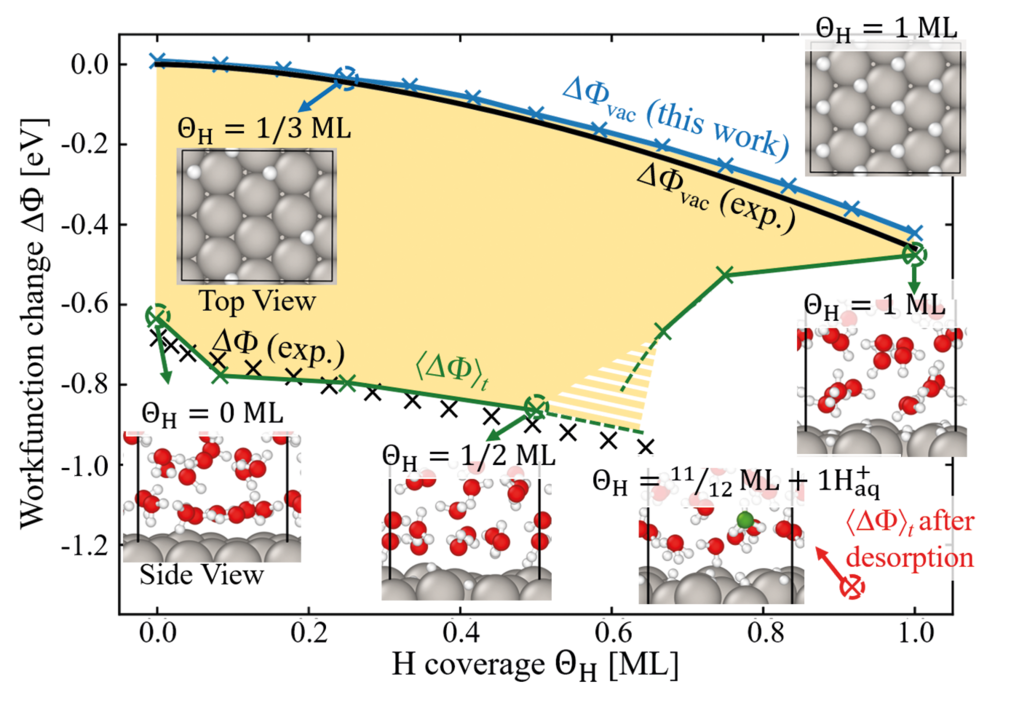 A microscopic view of electrochemical interfaces ab initio molecular