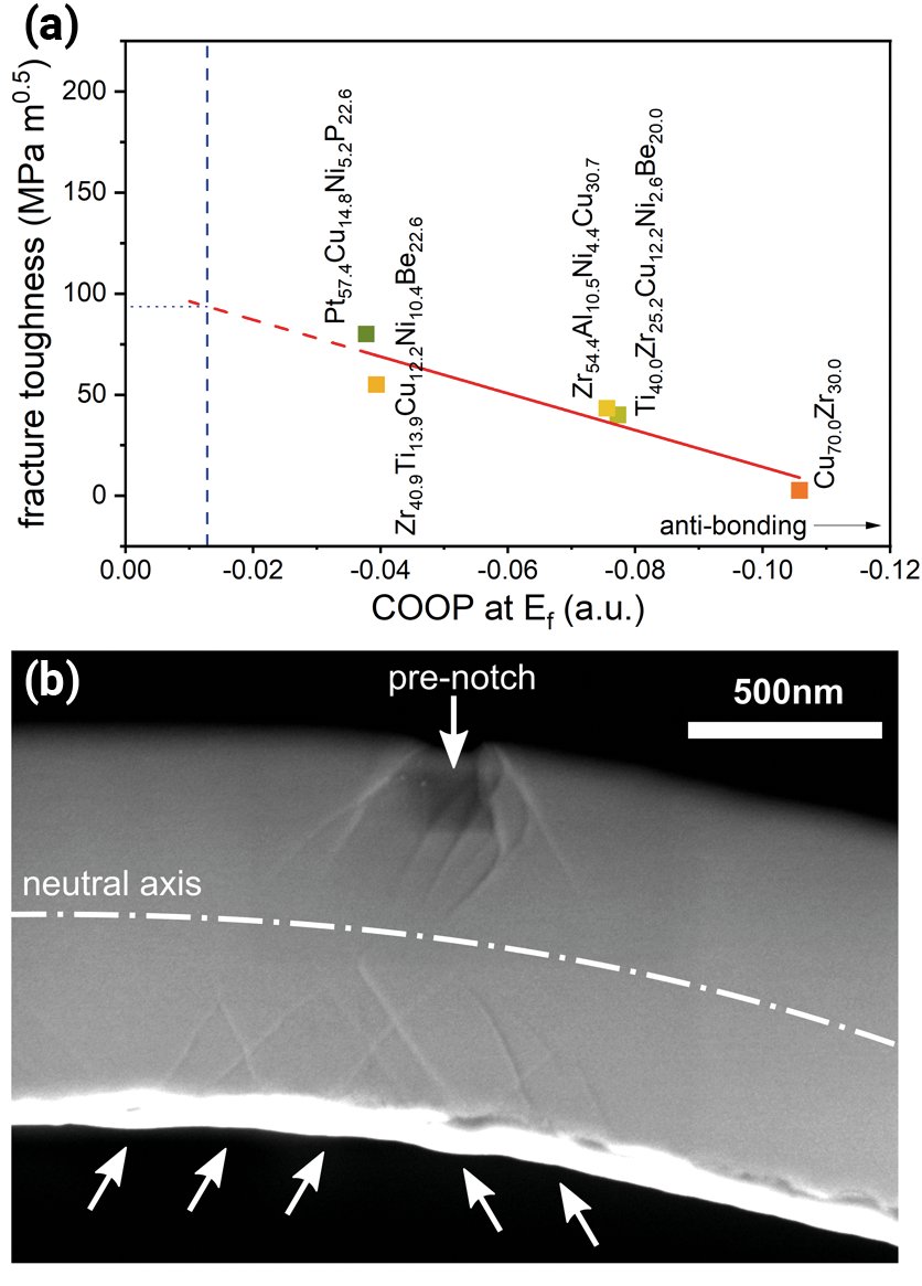Fig. 1: (a) Fracture toughness of five different MGs as a function of crystal orbital overlap population (COOP) at the Fermi level Ef. The red solid line is a linear fit of the data points. The dashed blue line indicates the COOP(Ef) of Pd57Al24Y8Ni11 and the dotted blue line indicates the predicted fracture toughness. (b) In-lens-SE micrograph of the notch region of a micro-cantilever after micro-bending to 4 µm deflection. Severe shear band formation is observed around the notch as well as on the compressive side of the cantilever (see arrows) [4]. 