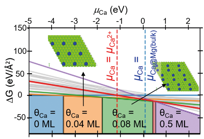 Fig. 2: Calculated surface phase diagrams for Mg alloyed with Ca (top) and Al (bottom) in an electrochemical setup. The diagram shows as function of the Ca(Al) chemical potential the stable Ca(Al) rich phases and their compositions at Mg(0001)/water interfaces. Insets show top views of some of these structures. Dashed lines mark chemical potential conditions realized in selected measurements. Fig. 2: Calculated surface phase diagrams for Mg alloyed with Ca (top) and Al (bottom) in an electrochemical setup. The diagram shows as function of the Ca(Al) chemical potential the stable Ca(Al) rich phases and their compositions at Mg(0001)/water interfaces. Insets show top views of some of these structures. Dashed lines mark chemical potential conditions realized in selected measurements.