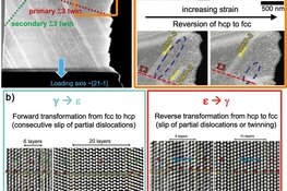 Bidirectional transformation induced plasticity in dual-phase high entropy alloys