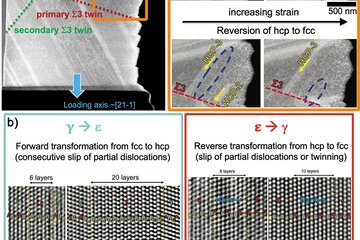 Bidirectional transformation induced plasticity in dual-phase high entropy alloys